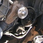 Stripped fiber timing gear